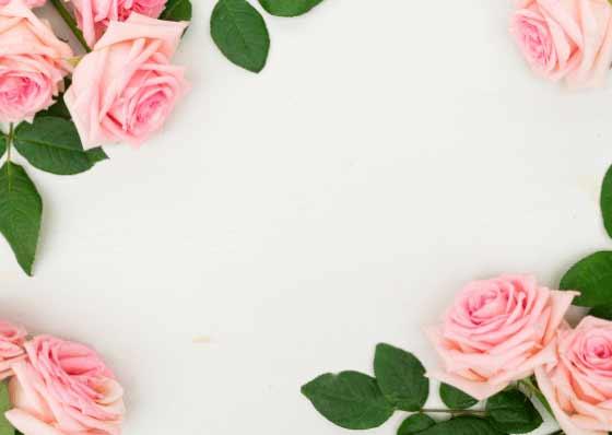 Image of Roses