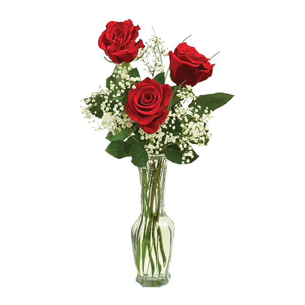 Image of Bud Vase Roses