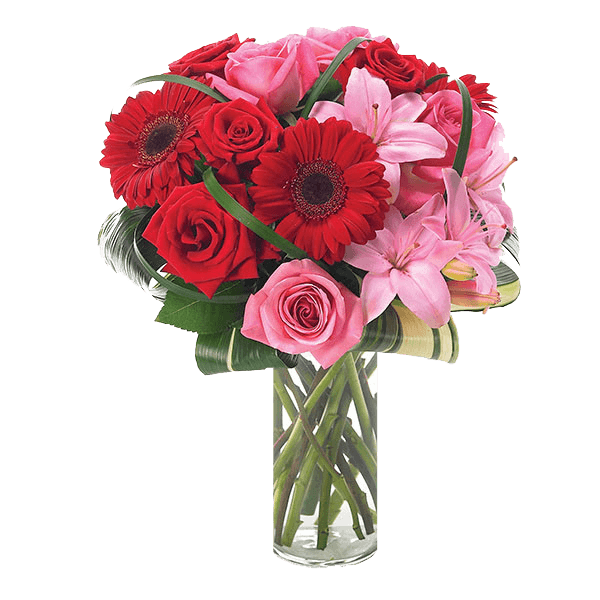 Image of Blooms A Beauty