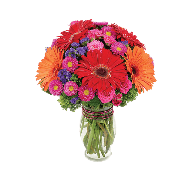 Image of Garden Club Celebration