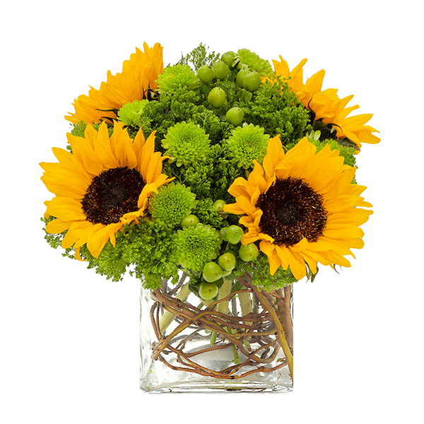Image of Sunflower Surprise