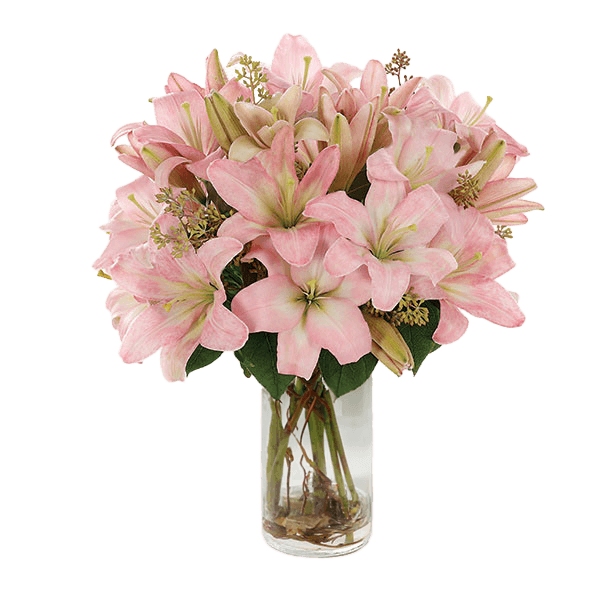 Image of Simply Lily - Pink