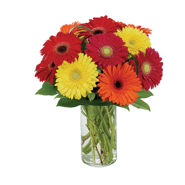 Image of Gerberas Galore