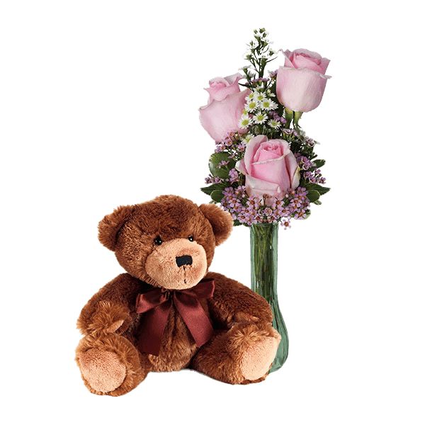 Image of Baby's First Bouquet - Girl