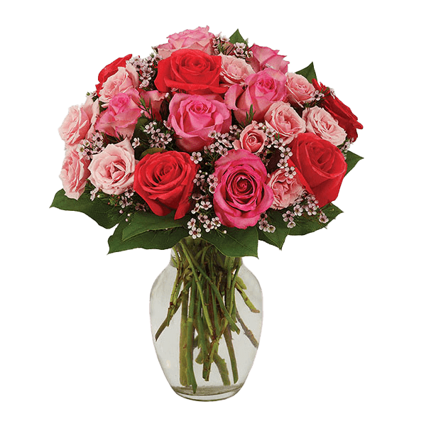 Image of Sweetest Rose Bouquet - Pink