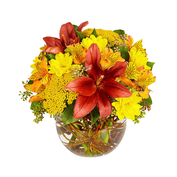 Image of Harvest Bubble Bowl