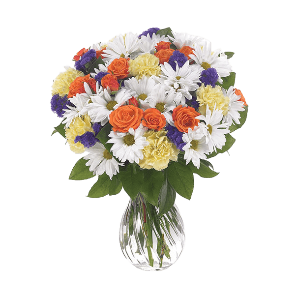 Image of Daisy Delight