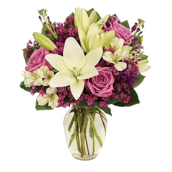Image of Lavender Elegance