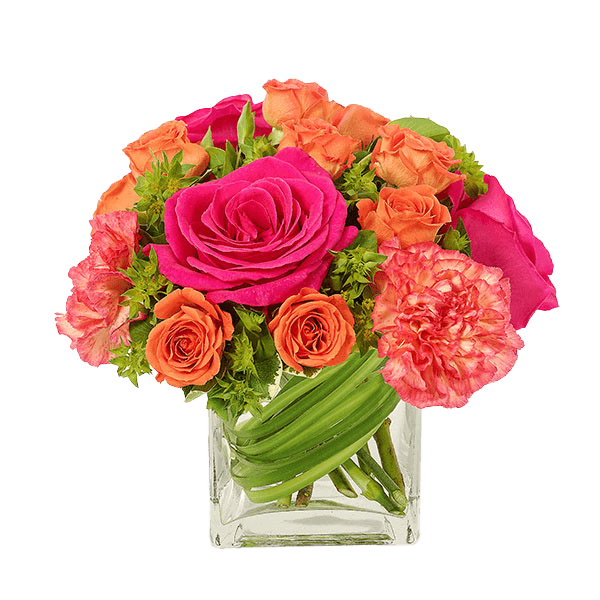 Image of Magnificent Blooms Cube