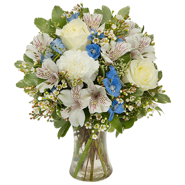 Image of Blue & White Brilliance