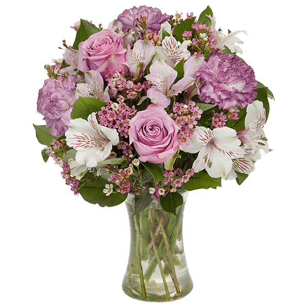 Image of Lavender & White Brilliance